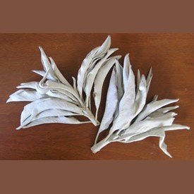 bulk white sage